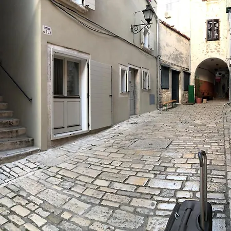 Leanna - Center Of 로비니